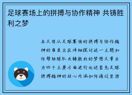 足球赛场上的拼搏与协作精神 共铸胜利之梦