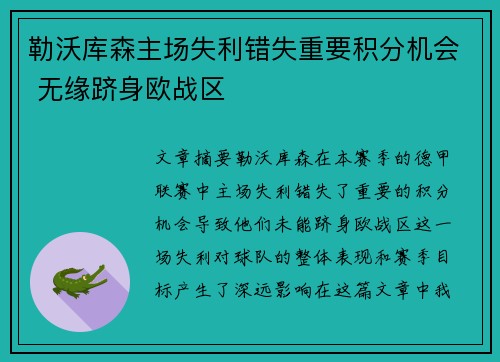 勒沃库森主场失利错失重要积分机会 无缘跻身欧战区